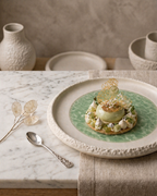 Frosted Veil Dining Plate (Set of 4)