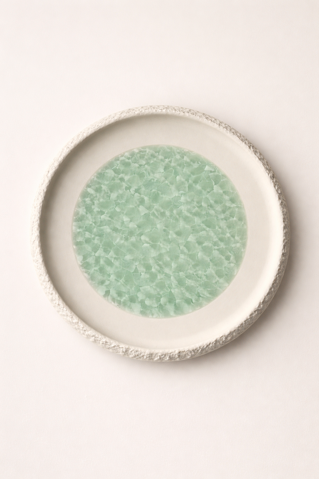 Frosted Veil Dining Plate (Set of 4)