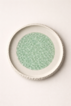 Frosted Veil Dining Plate (Set of 4)