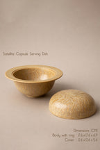 Satellite Capsule Serving Dish (Set of 1)